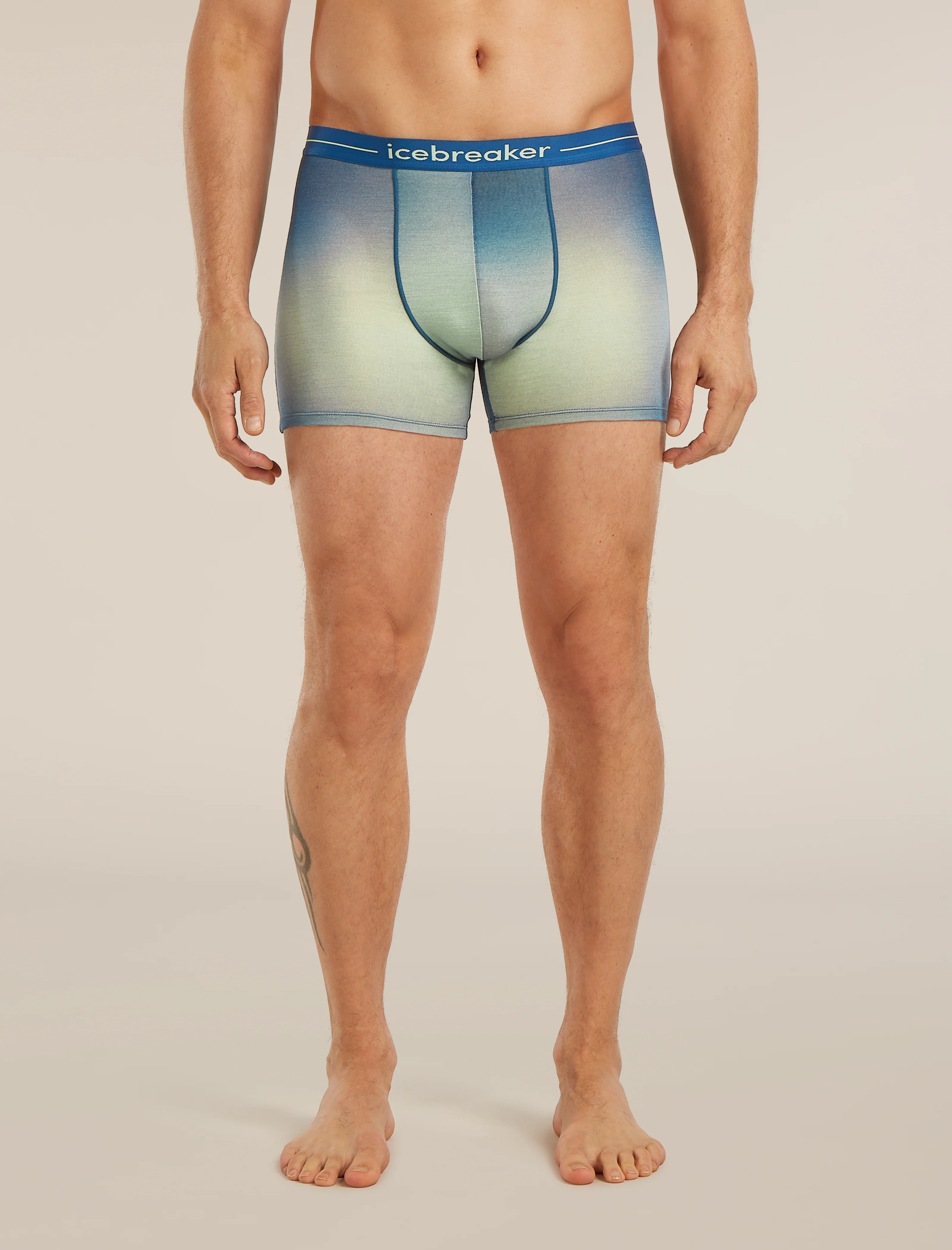 Men's Merino 150 Anatomica Boxers Transition