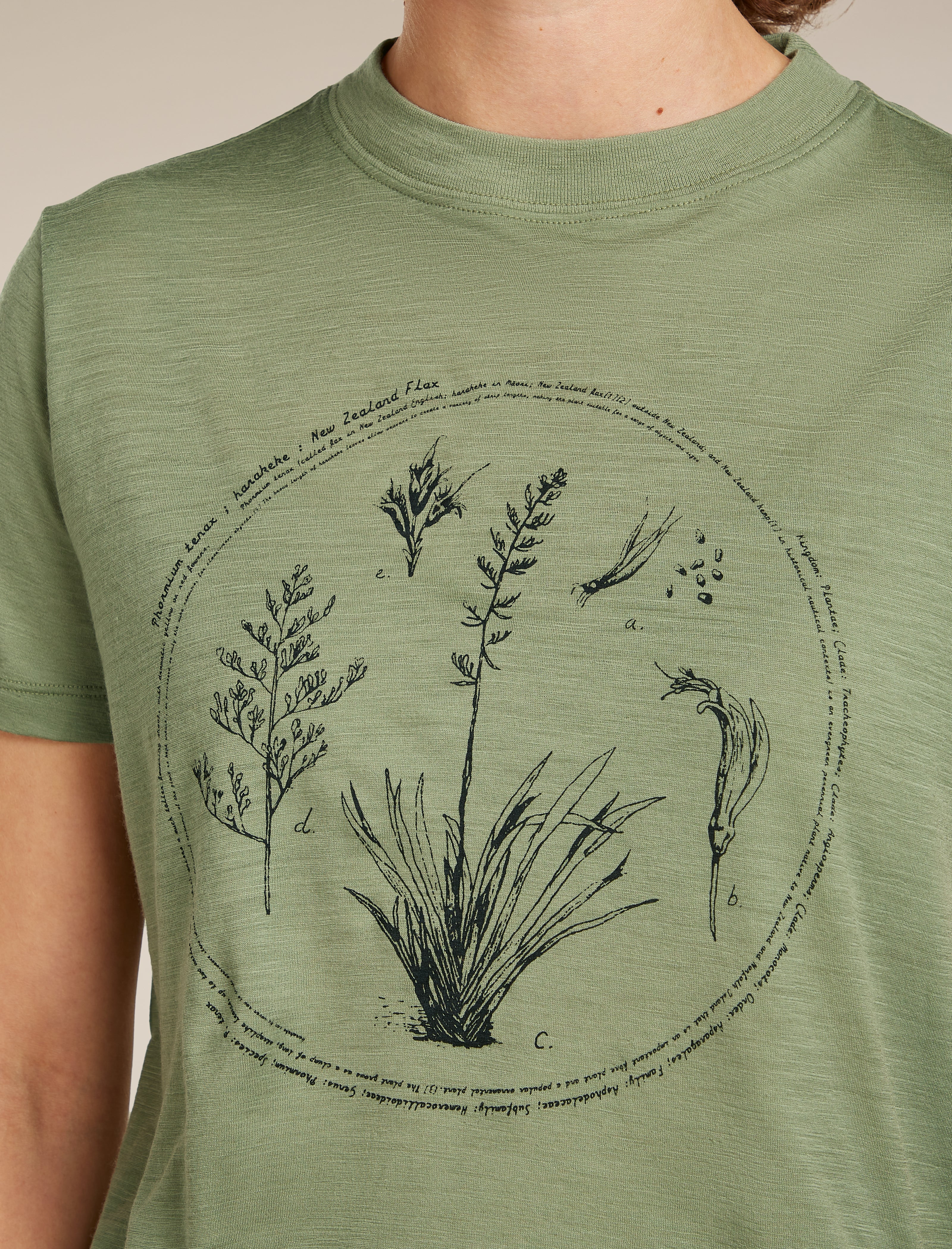 Women's Merino 150 Tech Lite Short Sleeve Crop Tee Seed Story - Image 5
