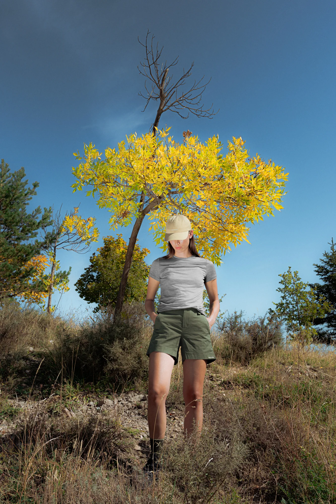 Women's Merino Blend Elevation Stretch 5" Shorts - Image 11